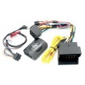 Steering Wheel Control Interface