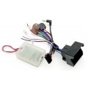 Steering Wheel Control Interface